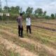 Dukung Asta Cita Presiden, Polsek Tambakboyo Aktif Dampingi Petani Manfaatkan Lahan Pekarangan