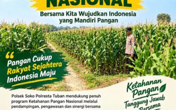 Polsek Soko Polresta Tuban Turun Langsung Cek Tanaman Jagung Warga  TUBAN, Soko (02/10/2026). Dalam rangka mendukung program Presiden Republik Indonesia terkait ketahanan pangan nasional, Polsek Soko Polresta Tuban terus berperan aktif mendampingi masyarakat, khususnya para petani di wilayah hukumnya.  Anggota Polsek Soko melaksanakan pengecekan lahan pertanian Jagung milik warga. Kegiatan tersebut merupakan tindak lanjut dari arahan Karo SDM Polda Jawa Timur Kombes Pol. Sih Harno, S.H., M.H., Kapolres Kota Tuban ,Kombespol Jazuli Dani Iriawan S.I.K.M.TR.Ospal serta Kapolsek Soko AKP.  Haryono, S.H., yang menekankan pentingnya keterlibatan Polri dalam mendukung program pemerintah, khususnya di bidang ketahanan pangan.  Kapolsek Soko AKP.  Haryono, S.H., menyampaikan bahwa Polri tidak hanya bertugas menjaga keamanan dan ketertiban masyarakat, tetapi juga hadir untuk mendampingi serta membantu masyarakat dalam mewujudkan program-program strategis nasional.  “Pengecekan tanaman Jagung ini merupakan bentuk nyata dukungan Polri terhadap program ketahanan pangan nasional sebagaimana tercantum dalam Asta Cita Presiden Republik Indonesia. Kami ingin memastikan para petani mendapatkan pendampingan serta dukungan yang diperlukan untuk meningkatkan hasil pertanian mereka,” ujar AKP Haryono, S.H.  Dalam kegiatan tersebut, anggota polsek Soko berdialog langsung dengan para petani guna mengetahui berbagai kendala yang dihadapi, mulai dari perawatan tanaman, ketersediaan pupuk, hingga potensi serangan hama. Hasil pemantauan ini nantinya akan menjadi bahan evaluasi dan koordinasi dengan pihak terkait dalam upaya meningkatkan produktivitas pertanian di wilayah Kecamatan Soko.  Melalui kegiatan turun langsung ke lahan pertanian, Polri berharap dapat mempererat sinergi dengan masyarakat serta berkontribusi dalam mewujudkan swasembada pangan dan ketahanan pangan nasional yang menjadi salah satu prioritas pemerintah.
