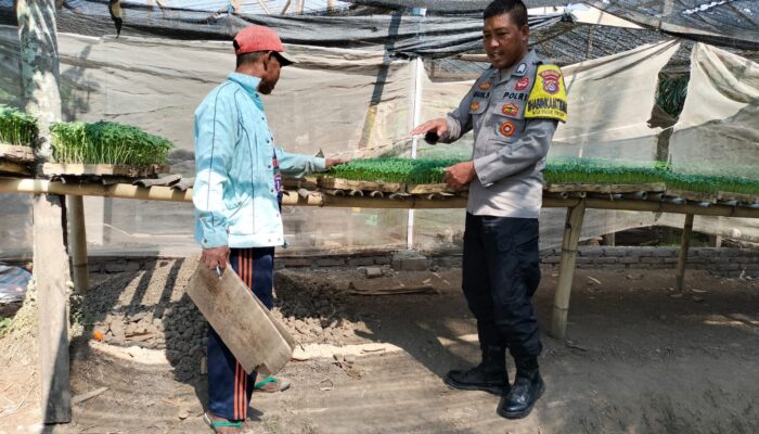 Bhabinkamtibmas Bagik Papan Cek Bibit Pertanian, Dukung Program Ketahanan Pangan
