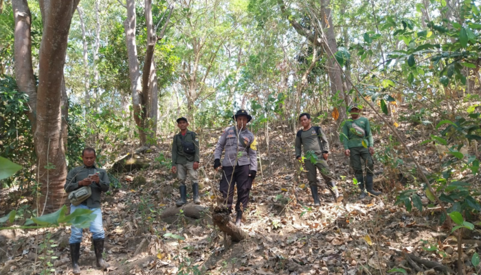 Antisipasi Kebakaran Hutan, Bhabinkamtibmas Polsek Batu Lanteh Bersama KSDA Gelar Apel dan Patroli Karhutla di Semongkat