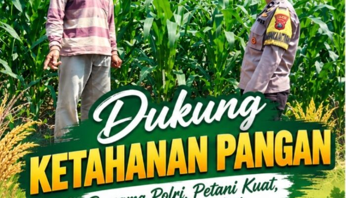Dukung Astacita, Polsek Jatirogo Cek Langsung Ladang Jagung Warga Desa Dingil