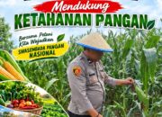 Anggota Bhabinkamtibmas Polsek Senori Polresta Tuban Lakukan Pemantauan Tanaman Jagung Warga Desa Leran Dukung Program Ketahanan Pangan