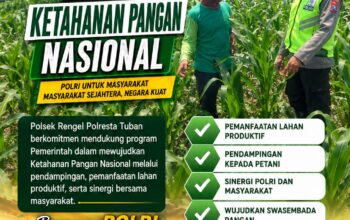 Polri Dukung Astacita, Polsek Rengel Polres Tuban Turun Cek Tanaman Padi Warga di Desa Maibit