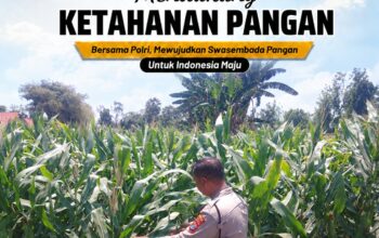 Dukung Ketahanan Pangan, Polsek Tuban Turun Langsung Pantau Tanaman Jagung
