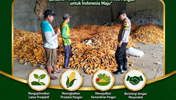 POLSEK KEREK POLRESTA TUBAN MONITORING GUDANG PENYIMPANAN DAN PENGERINGAN JAGUNG DI DESA BINAAN