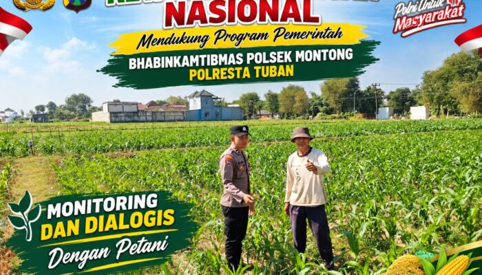 Mendukung Asta Cita Presiden bhabinkamtibmas Polsek Montong Polresta Tuban Pantau Kodisi Tanaman Jagung Milik Warga Desa pakel