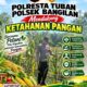 Dukung Ketahanan Pangan, Bhabinkamtibmas Monitoring Pertumbuhan Tanaman Jagung