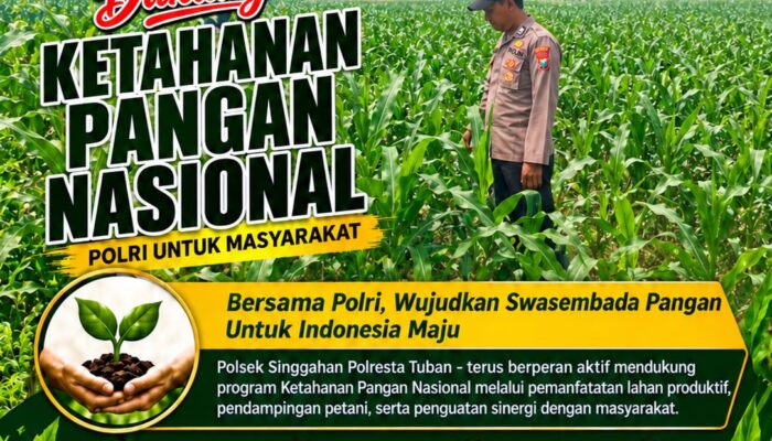 Polsek Parengan Polresta Tuban Pantau Lahan Jagung Warga Desa Selogabus Dukung Program Astacita
