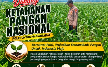 Anggota Polsek Singgahan Polresta Tuban Turun Cek Tanaman jagung Warga di Desa Lajo lor