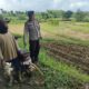 Dukung Astacita, Polsek Jatirogo Polresta Tuban Pantau Langsung Lahan Jagung milik warga Desa Bader