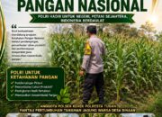 BHABINKAMTIBMAS PANTAU PERTUMBUHAN TANAMAN JAGUNG DI DESA BINAAN