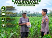 Anggota Polsek Singgahan Polresta Tuban Turun Cek Tanaman jagung Warga di Desa tingkis