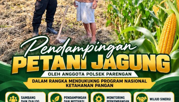 Polsek Parengan Polresta Tuban Pantau Lahan Jagung Warga Desa Pacing Dukung Program Astacita
