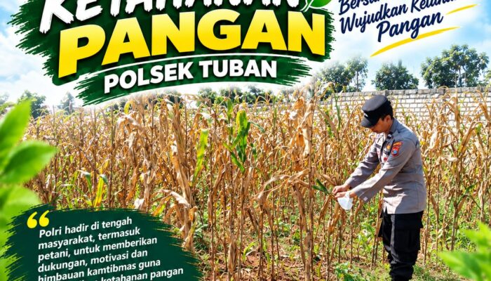 Polsek Tuban Dukung Ketahanan Pangan melalui Sambang dan Monitoring Lahan Pertanian