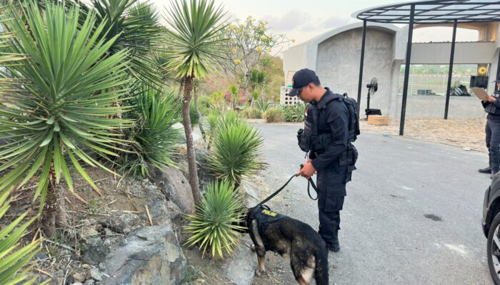Cegah Ancaman Bom, Unit K-9 Sisir Area Pengamanan MotoGP Mandalika