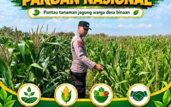 Dukung Ketahanan Pangan Nasional