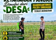 Anggota Polsek Singgahan Polresta Tuban Turun Cek Tanaman jagung Warga di Desa Tingkis