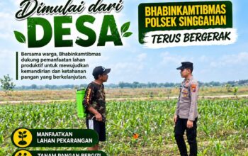 Anggota Polsek Singgahan Polresta Tuban Turun Cek Tanaman jagung Warga di Desa Tingkis
