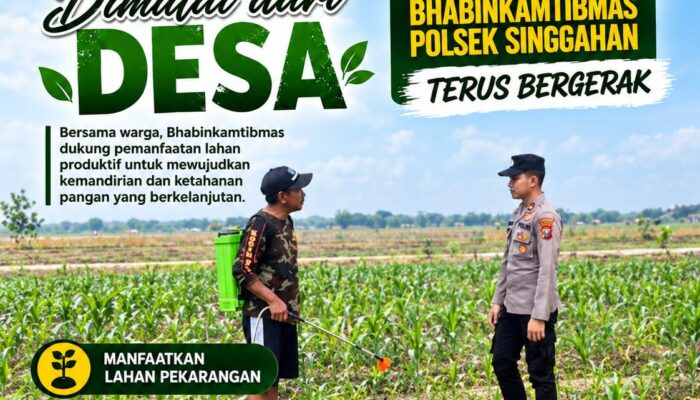 Anggota Polsek Singgahan Polresta Tuban Turun Cek Tanaman jagung Warga di Desa Tingkis