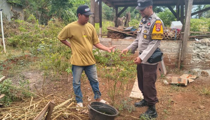 Dukung Ketahanan Pangan Nasional, Bhabinkamtibmas Desa Labangka Sambangi Pekarangan Warga dan Beri Motivasi Petani Cabai