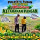 Anggota Bhabinkamtimas Polsek Senori Polres Tuban Polda Jatim Menanam Jagung Bersama Warga Desa Leran
