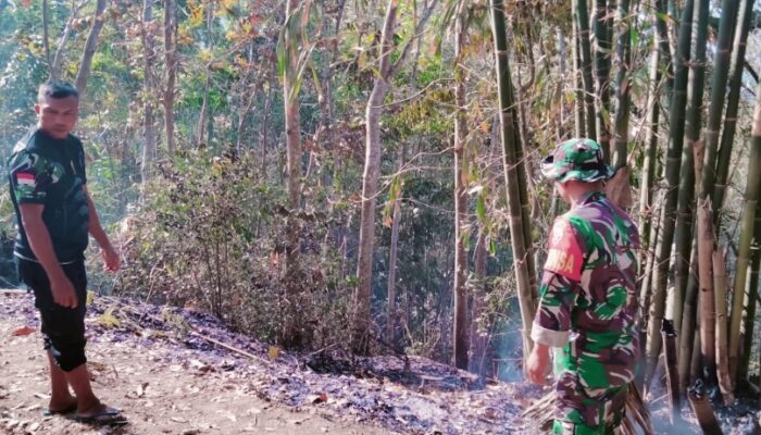 Diduga Puntung Rokok, Kebakaran Hutan Mareje Jadi Peringatan Bersama
