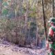 Diduga Puntung Rokok, Kebakaran Hutan Mareje Jadi Peringatan Bersama