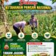 POLSEK KEREK POLRESTA TUBAN DUKUNG PROGRAM KETAHANAN PANGAN MELALUI PENDAMPINGAN PETANI JAGUNG