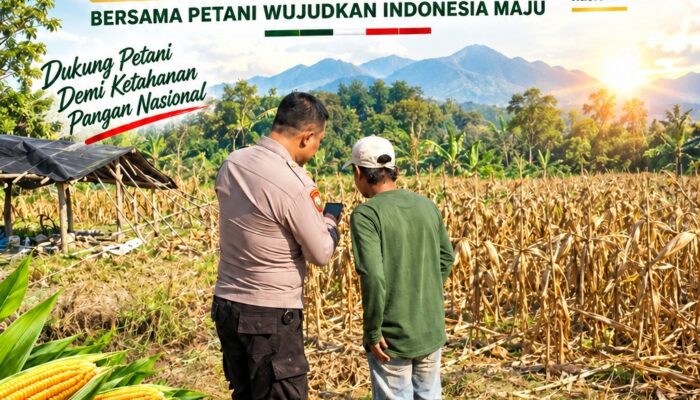 Polsek Plumpang Polresta Tuban Turun Langsung Cek Tanaman Jagung Warga