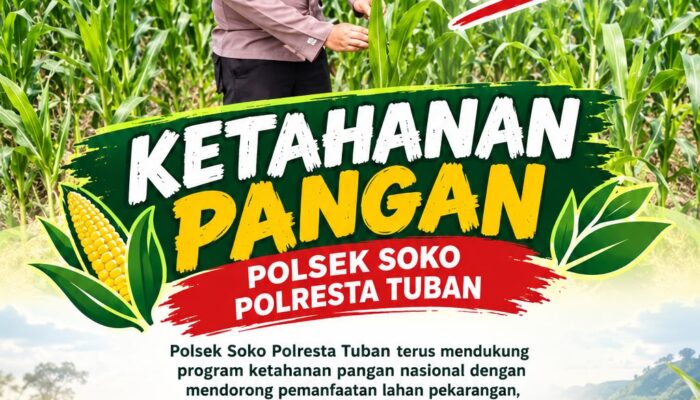 Polsek Soko Polresta Tuban Turun Langsung Cek Tanaman Jagung Warga