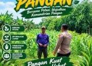 Polsek Soko Polresta Tuban Turun Langsung Cek Tanaman Jagung Warga