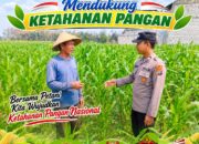Anggota Bhabinkamtibmas Polsek Senori Polresta Tuban Lakukan Pemantauan Tanaman Jagung Warga Desa Jatisari Dukung Program Ketahanan Pangan