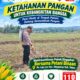 Anggota Polsek Singgahan Polresta Tuban Turun Cek Tanaman jagung Warga di Desa Lajo Lor