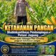 Mendukung Program Ketahanan Pangan, Bhabinkamtibmas Monitoring Pertumbuhan Jagung