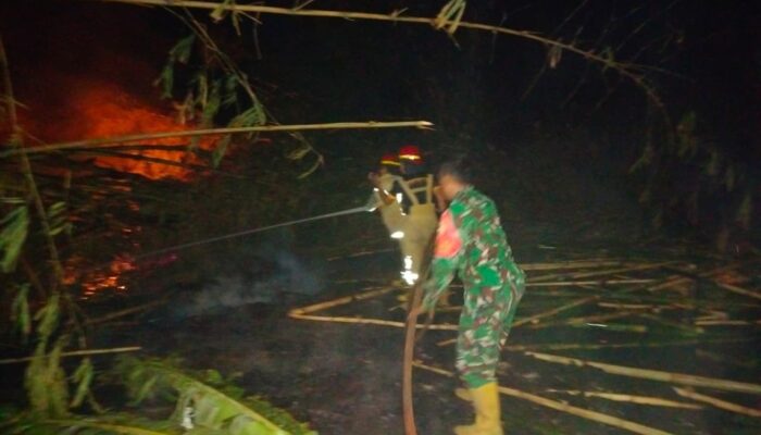 Api Membakar Kebun Bambu dan Pisang di Sesela