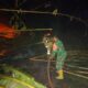 Api Membakar Kebun Bambu dan Pisang di Sesela