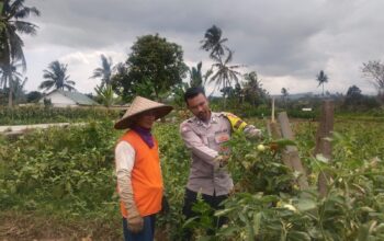 BHABINKAMTIBMAS DESA KADINDI AJAK WARGA MANFAATKAN PEKARANGAN RUMAH UNTUK DUKUNG KETAHANAN PANGAN