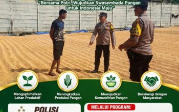 “POLSEK KEREK POLRESTA TUBAN SAMBANG KE GUDANG PENGERINGAN DAN PENYIMPANAN JAGUNG”