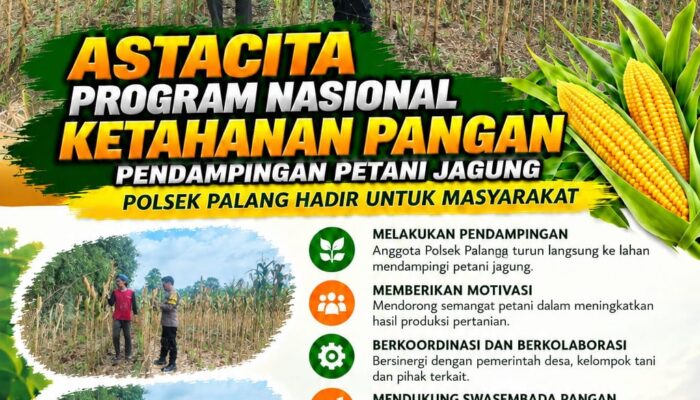 Dukung Astacita, Polsek Palang Polresta Tuban Pantau Langsung Lahan Jagung milik warga Desa Dawung