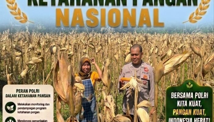 Personel Polsek Bancar Pantau Panen Jagung Warga di Desa Tergambang Tuban