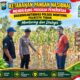 Mendukung Asta Cita Presiden bhabinkamtibmas Polsek Montong Polresta Tuban Pantau Kodisi Tanaman Jagung Milik Warga Desa pakel