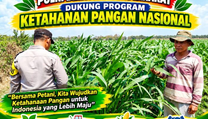 Polri dukung progam Astacita, Polsek Jatirogo Polresta Tuban Turun Cek Tanaman jagung Warga di Desa Dingil