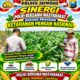 Polri dukung progam Astacita, Polsek Jatirogo Polresta Tuban Turun Cek Tanaman jagung Warga di Desa Dingil
