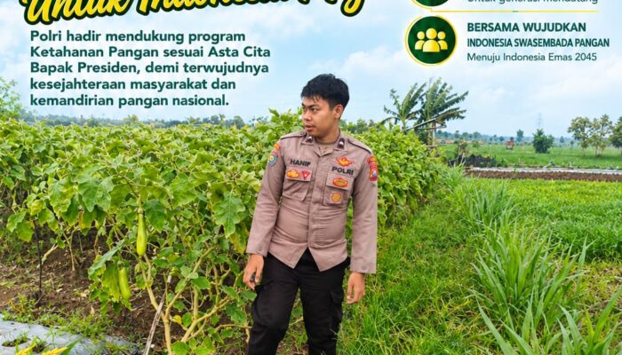 Anggota Polsek Singgahan Polresta Tuban Turun Cek Tanaman jagung Warga di Desa Tingkis