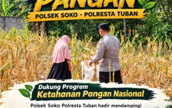 Polsek Soko Polresta Tuban Turun Langsung Cek Tanaman Jagung Warga