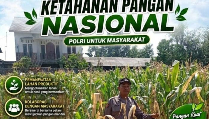 Polri Dukung Astacita, Polsek Rengel Polresta Tuban Turun Cek Tanaman Jagung Warga di Desa Sawahan