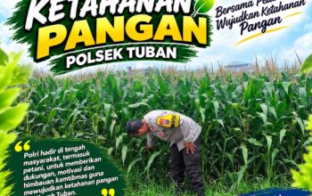 Polsek Tuban Dukung Ketahanan Pangan Nasional Melalui Pemantauan Lahan Jagung