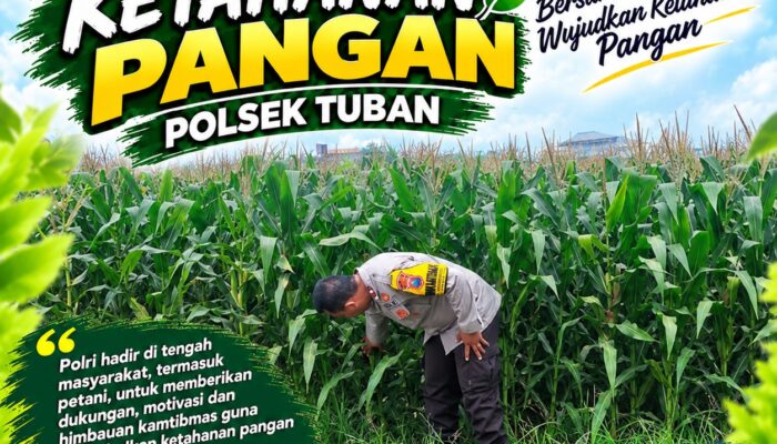 Polsek Tuban Dukung Ketahanan Pangan Nasional Melalui Pemantauan Lahan Jagung