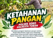Polsek Soko Polresta Tuban Turun Langsung Cek Tanaman Jagung Warga