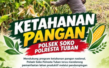 Polsek Soko Polresta Tuban Turun Langsung Cek Tanaman Jagung Warga